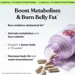 Lemme Burn Cápsulas para el Metabolismo y la Quema de Grasa - 60 Ct - Imagen 2